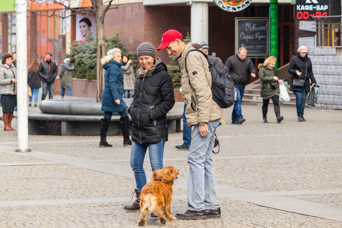 Рядом с собаками грустить непросто Рядом с собаками грустить непросто