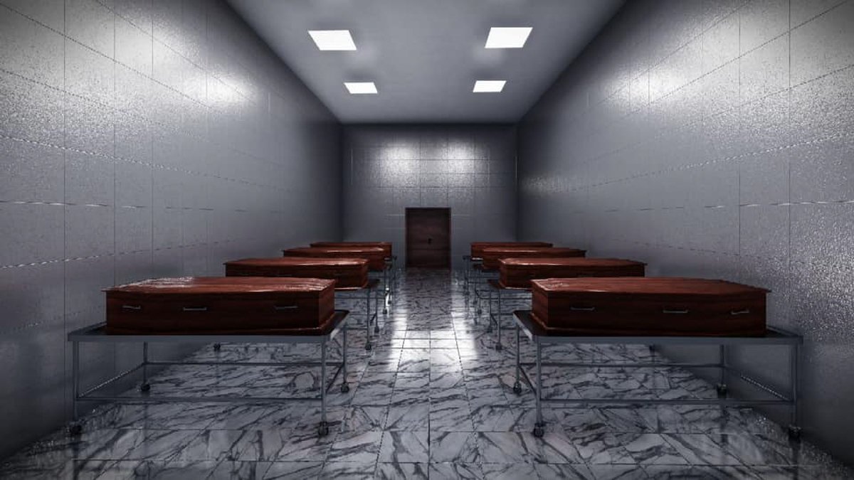 Проект будет готов 1 августа