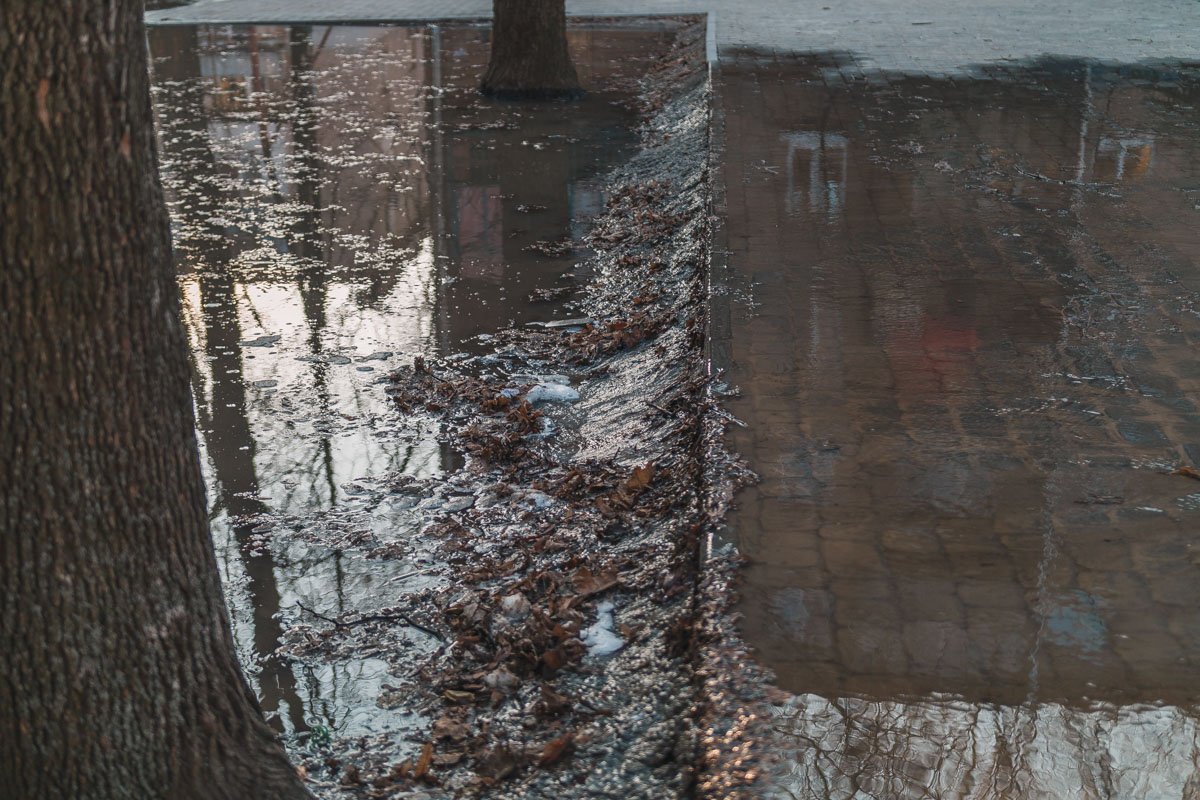 Представитель подрядчика, что занимался сквером, рассказал, что проблема возникла из-за некорректной работы КП Представитель подрядчика, что занимался сквером, рассказал, что проблема возникла из-за некорректной работы КП