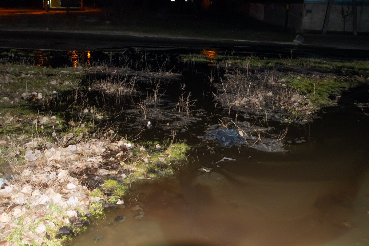 От запаха фекалий невозможно убежать 