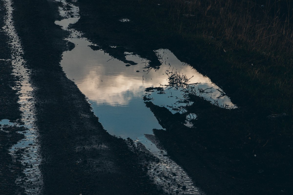 Даже в плохом асфальте можно найти что-то красивое 