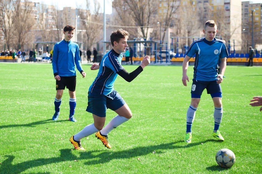 Яркое зеленое покрытие радует глаз