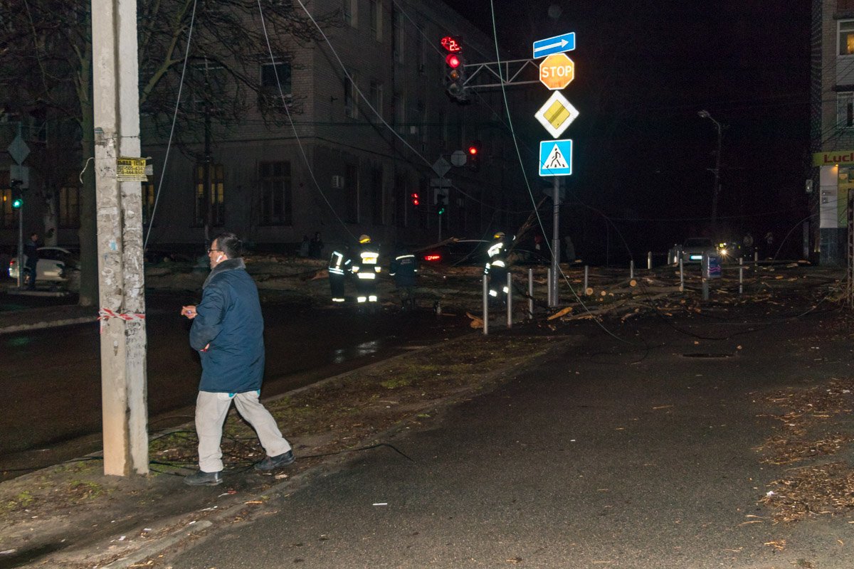 Упавшие деревья, пробки и сломанный билборд Упавшие деревья, пробки и сломанный билборд
