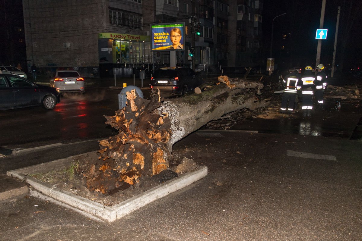 Одно из деревьев упало на перекрестке Паторжинского и Олеся Гончара Одно из деревьев упало на перекрестке Паторжинского и Олеся Гончара