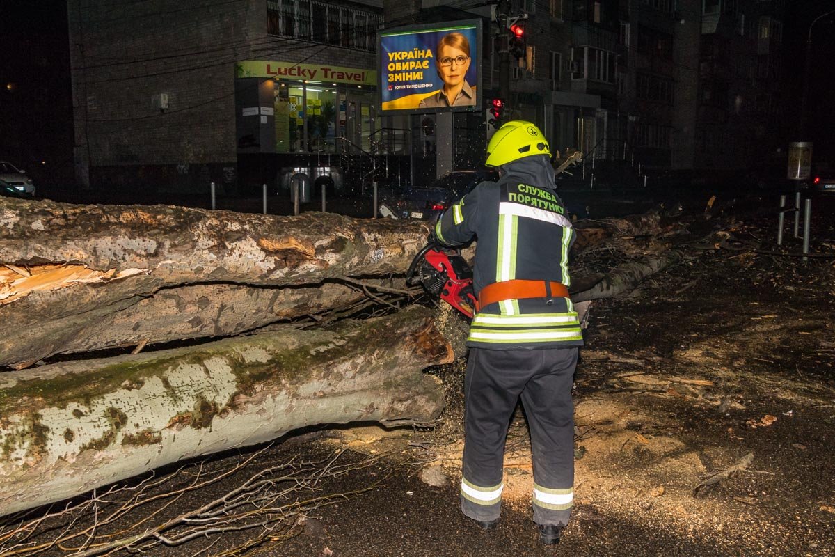 При падении дерево оборвало электропровода При падении дерево оборвало электропровода