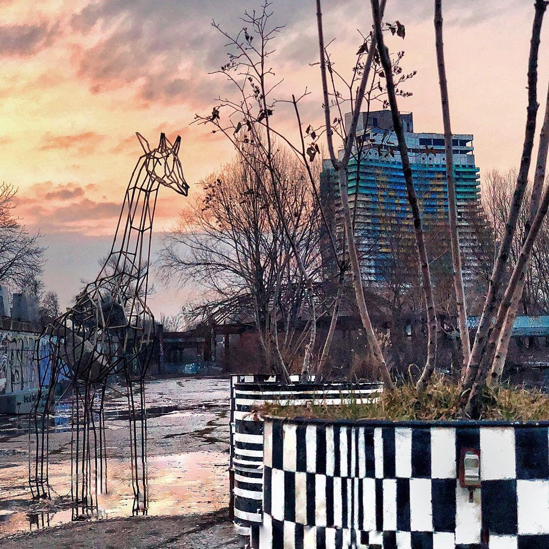 Единственное место в городе, где можно увидеть жирафа. Фото: marchello_dp