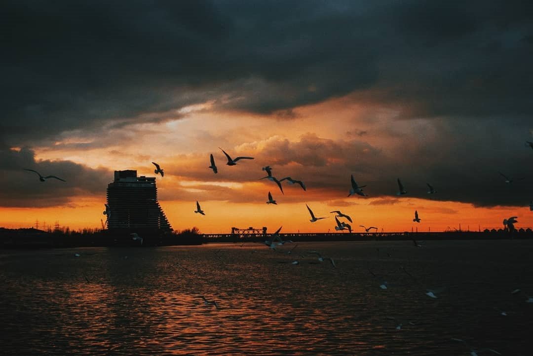 Вечерние контрасты. Фото: aka_chiii