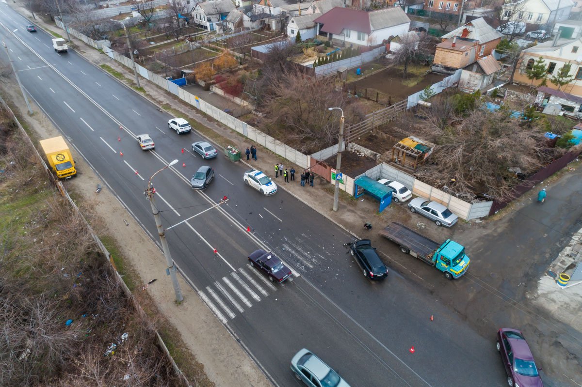 С высоты птичьего полета 