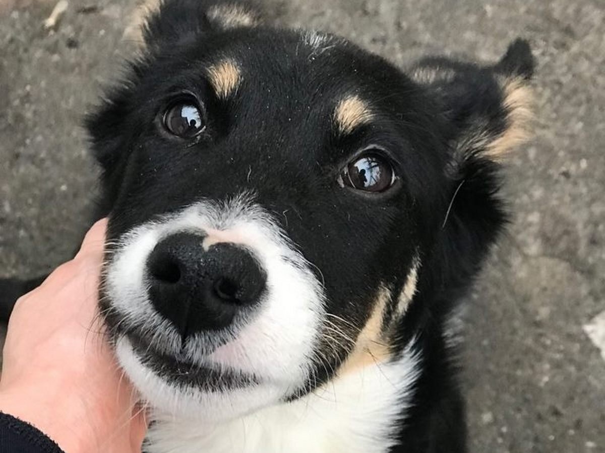 Носик в виде сердечка :) Носик в виде сердечка :)