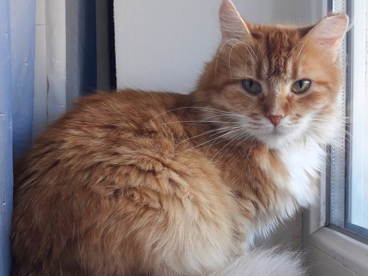 Она явно знает что-то, чего не знаете вы Она явно знает что-то, чего не знаете вы