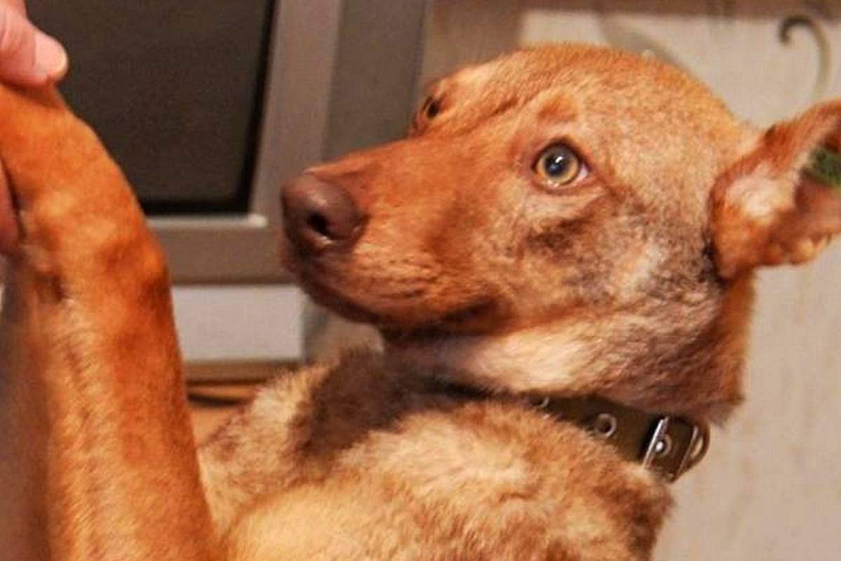 Малыш надеется, что когда-нибудь станет частью большой, дружной семьи Малыш надеется, что когда-нибудь станет частью большой, дружной семьи