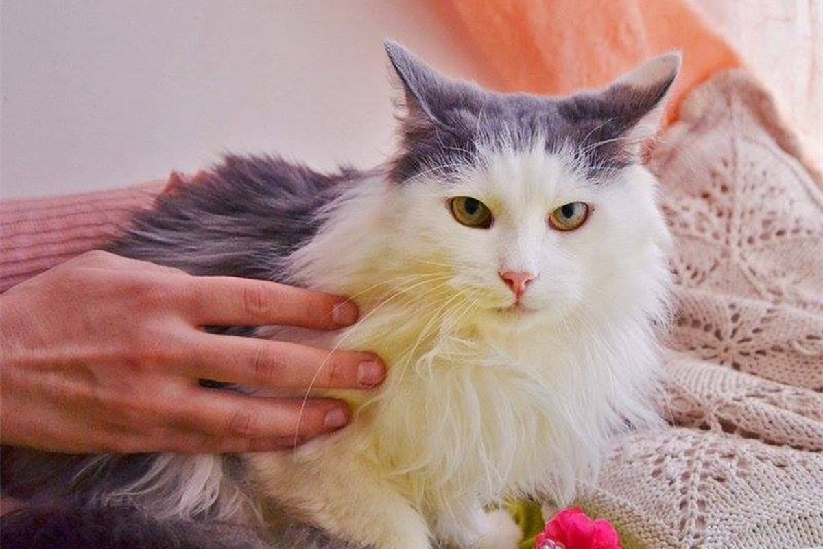 Тося слабо верит, что в мире еще остались добрые люди. Но надеется и ждет. Тося слабо верит, что в мире еще остались добрые люди. Но надеется и ждет.