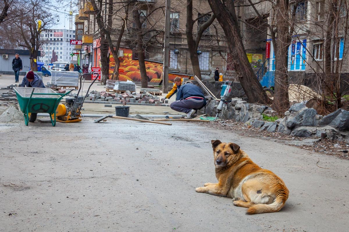 Кто не работает - тот ест