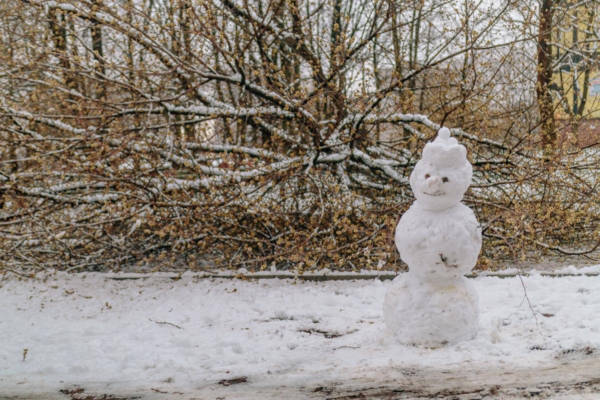 Кто там еще не избавился от елку - радуйтесь