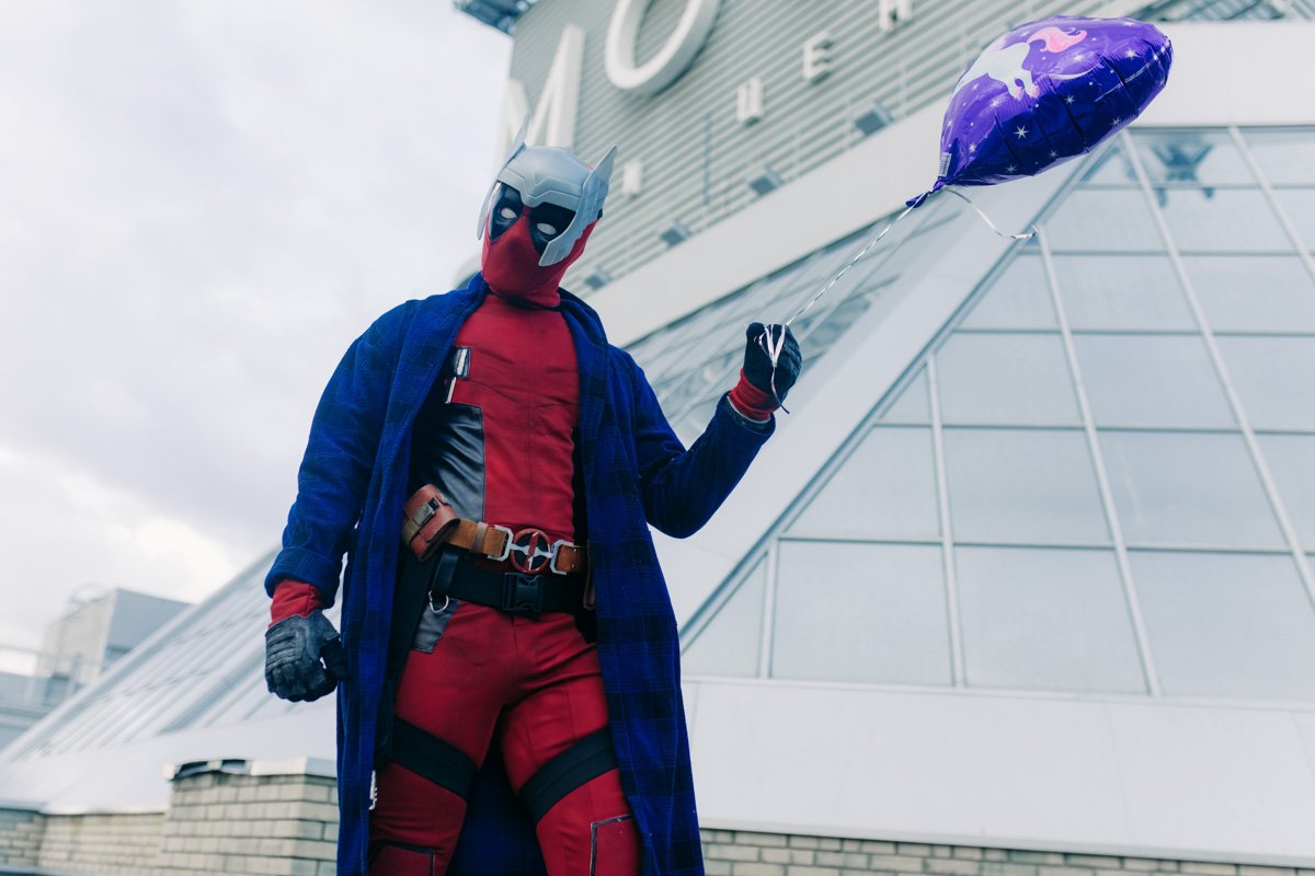 Согласитесь, я лучше, чем кот