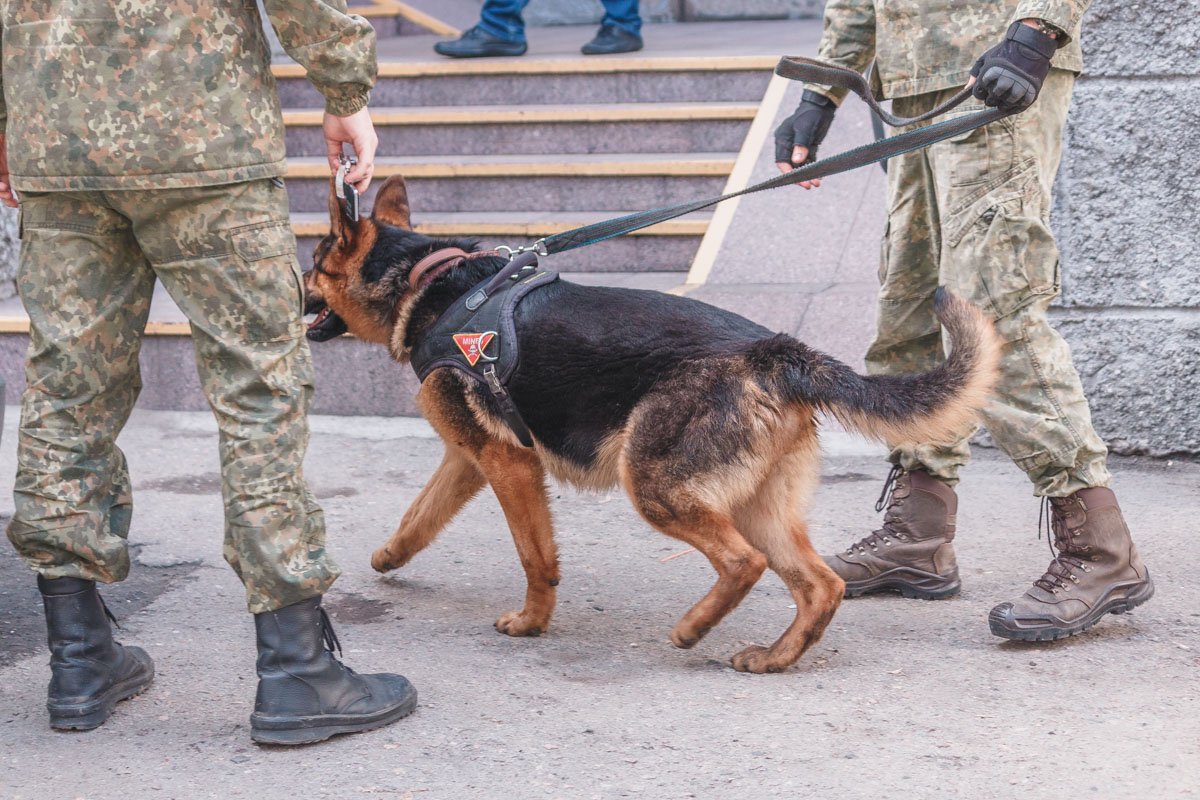 Эксперт по взрывчатым веществам Эксперт по взрывчатым веществам