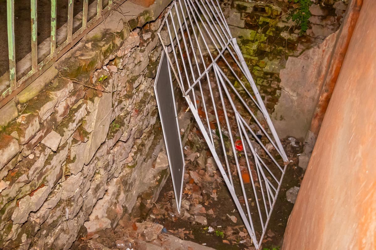 Даже москитная сетка не спасла