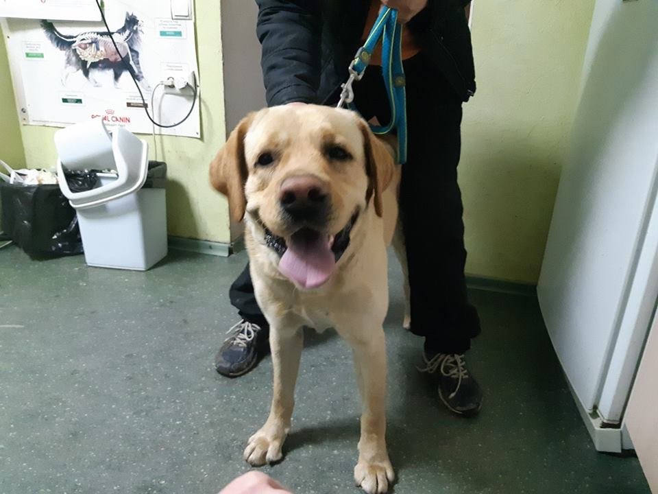 Малыш хочет домой