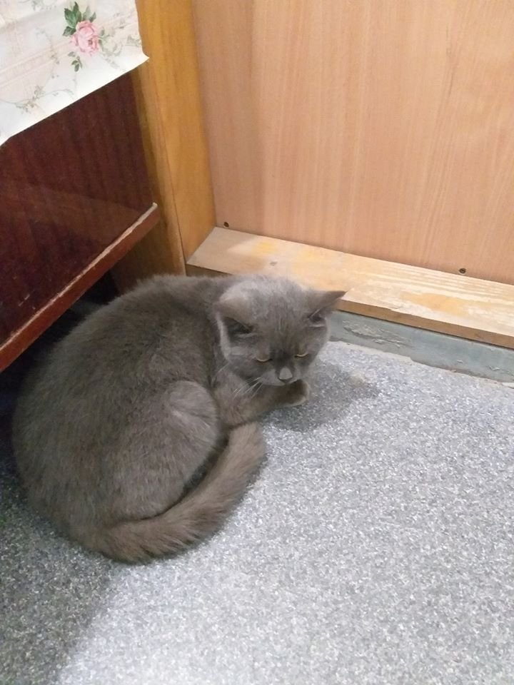 Готов быть другом