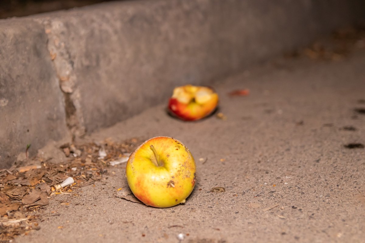 Покупки женщины рассыпались по дороге Покупки женщины рассыпались по дороге
