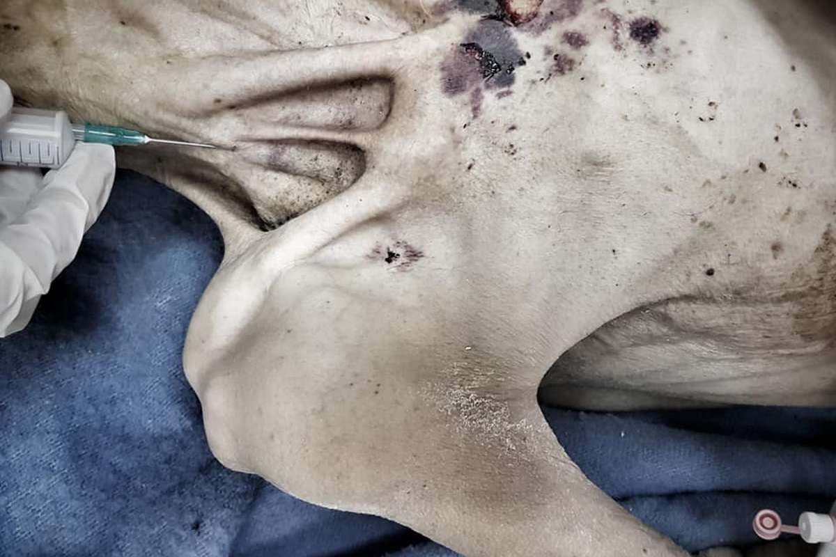 К слову, женщину в больницу привез ее сын