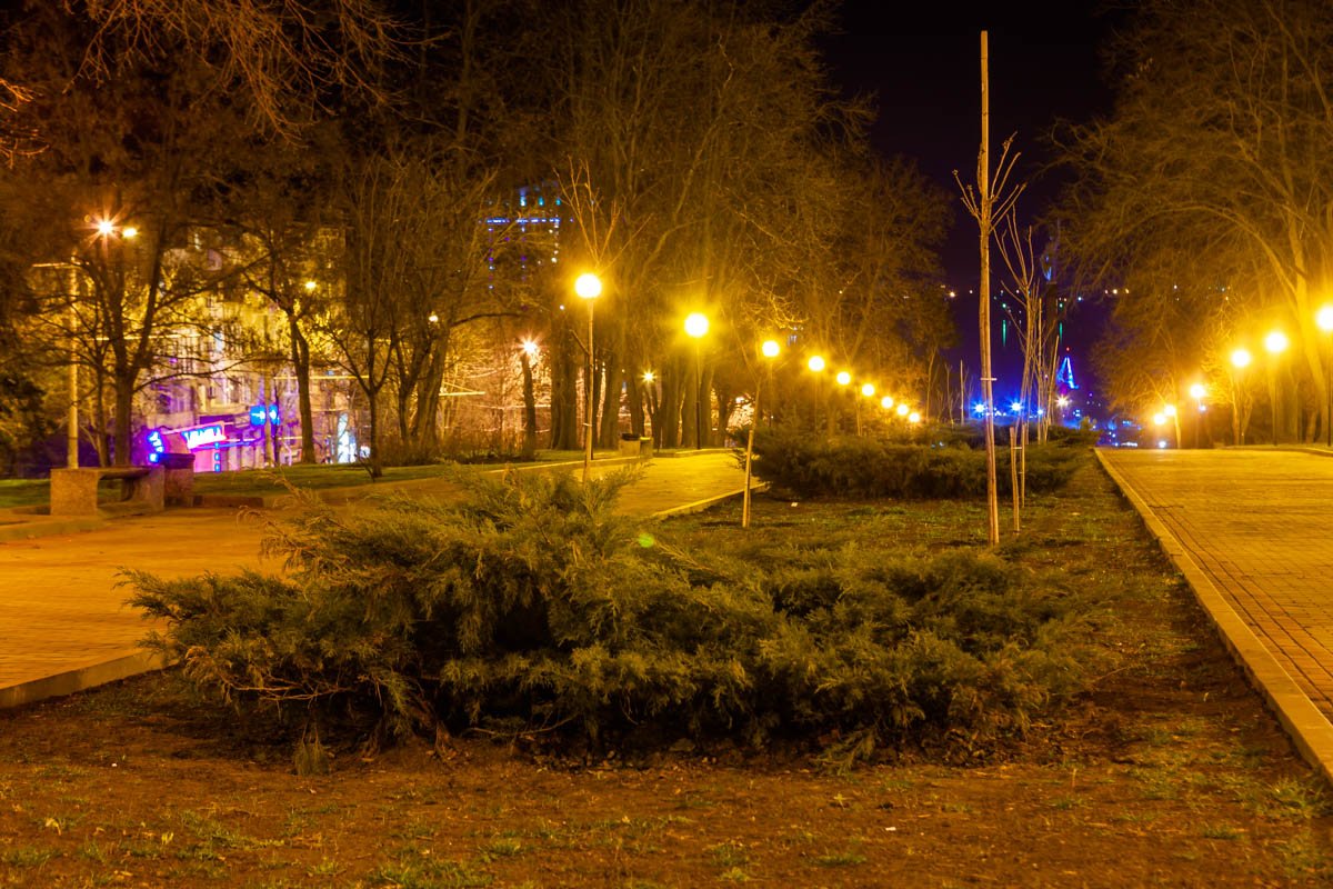 А вдруг там кто-то живет? А вдруг там кто-то живет?