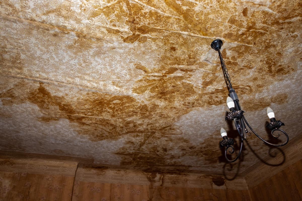 Стены и потолок отсырели