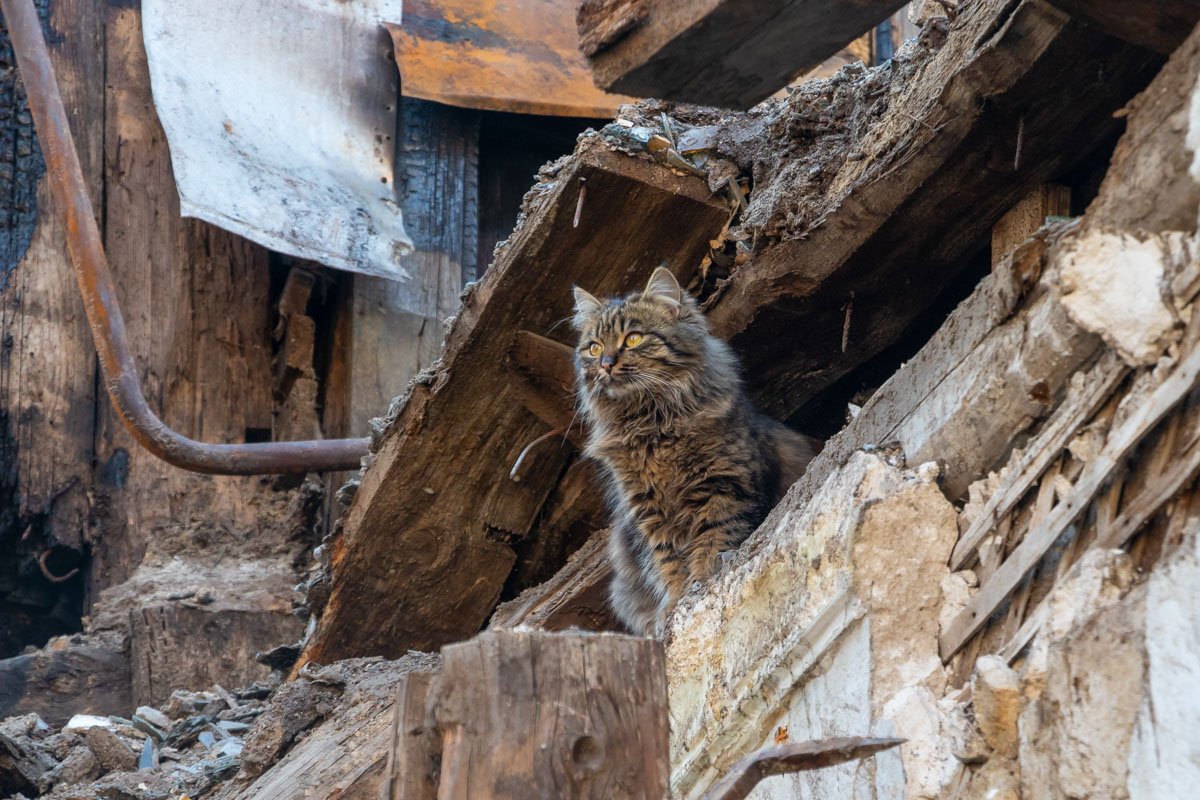Ему все нипочем