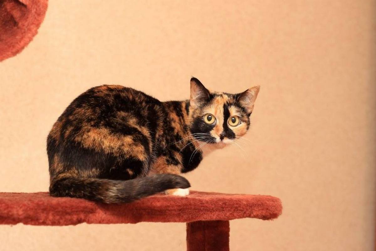 Она явно знает что-то, чего не знаете вы