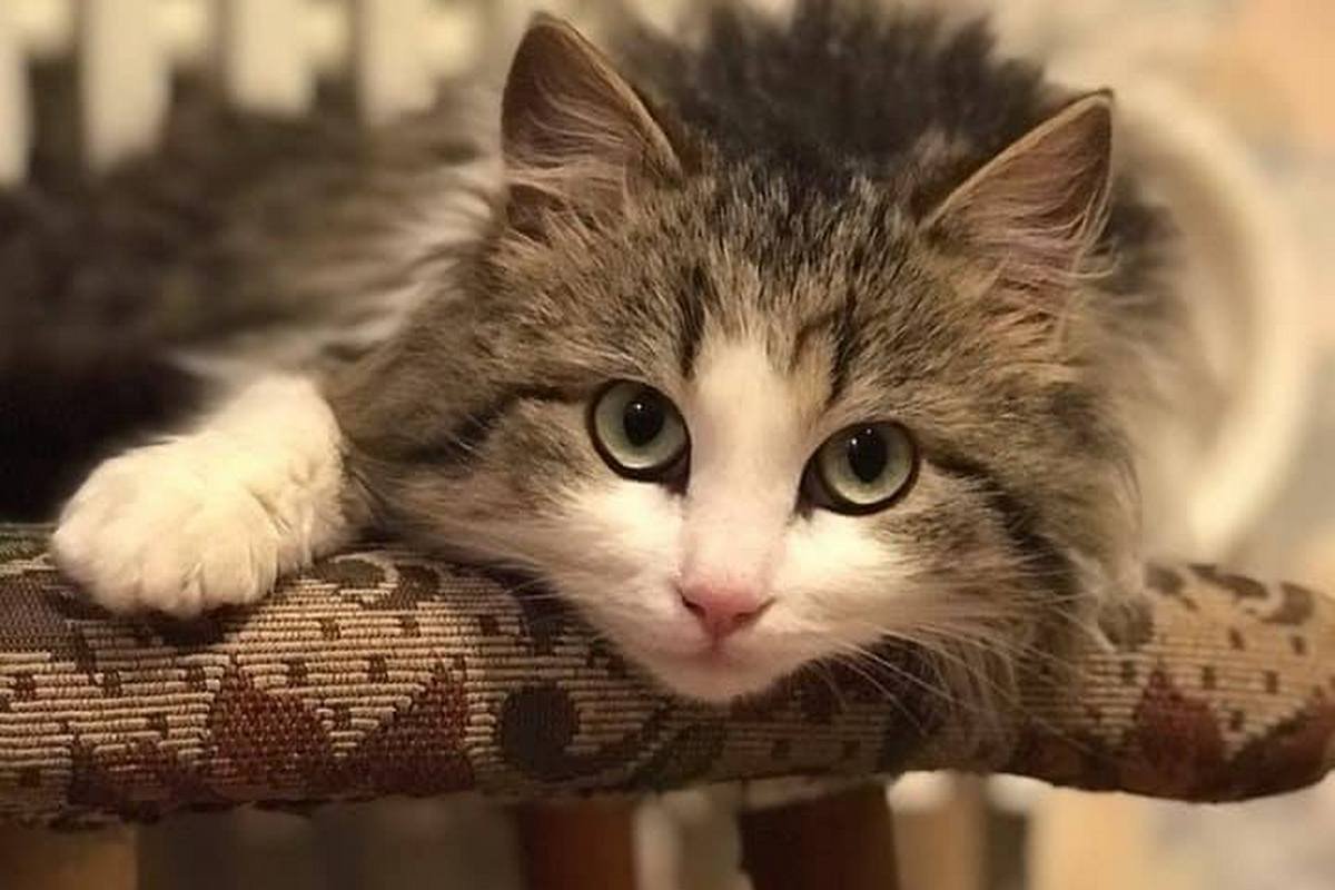 Слабо верит, что в мире еще остались добрые люди. Но надеется и ждет