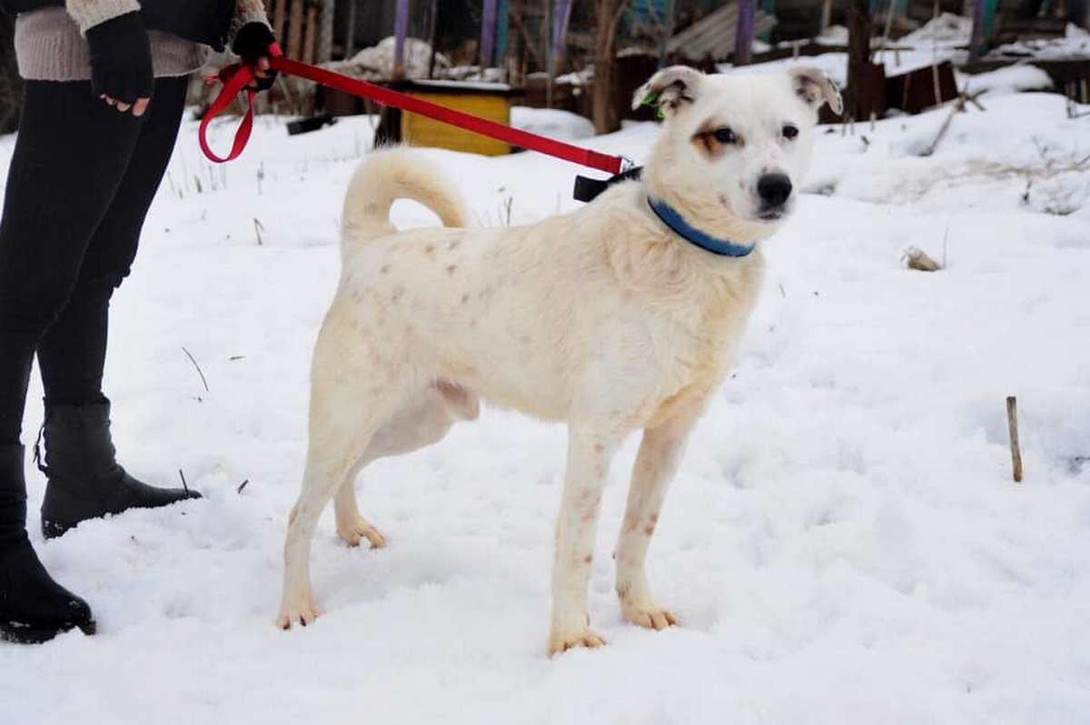 Малышка надеется, что когда-нибудь станет частью большой, дружной семьи