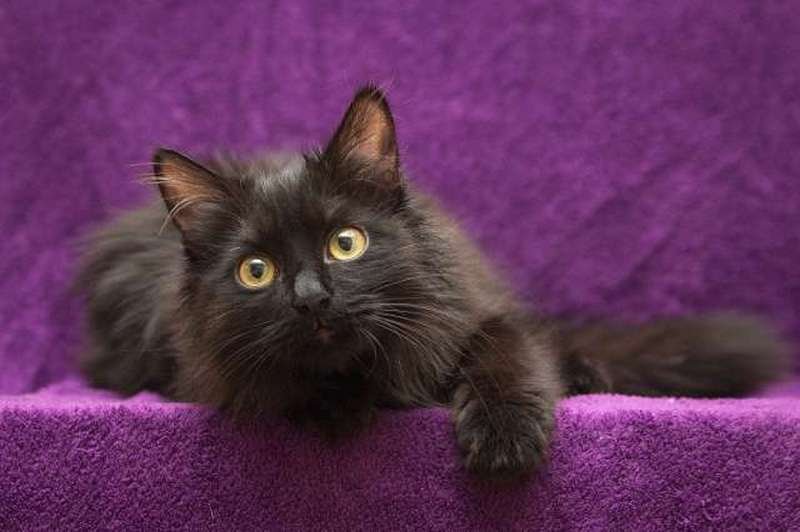 Это тво-о-я ночь!