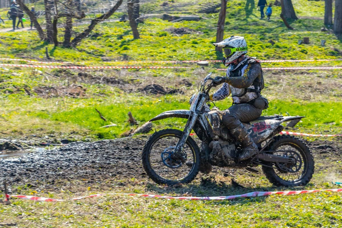 Свинюшка Свинюшка