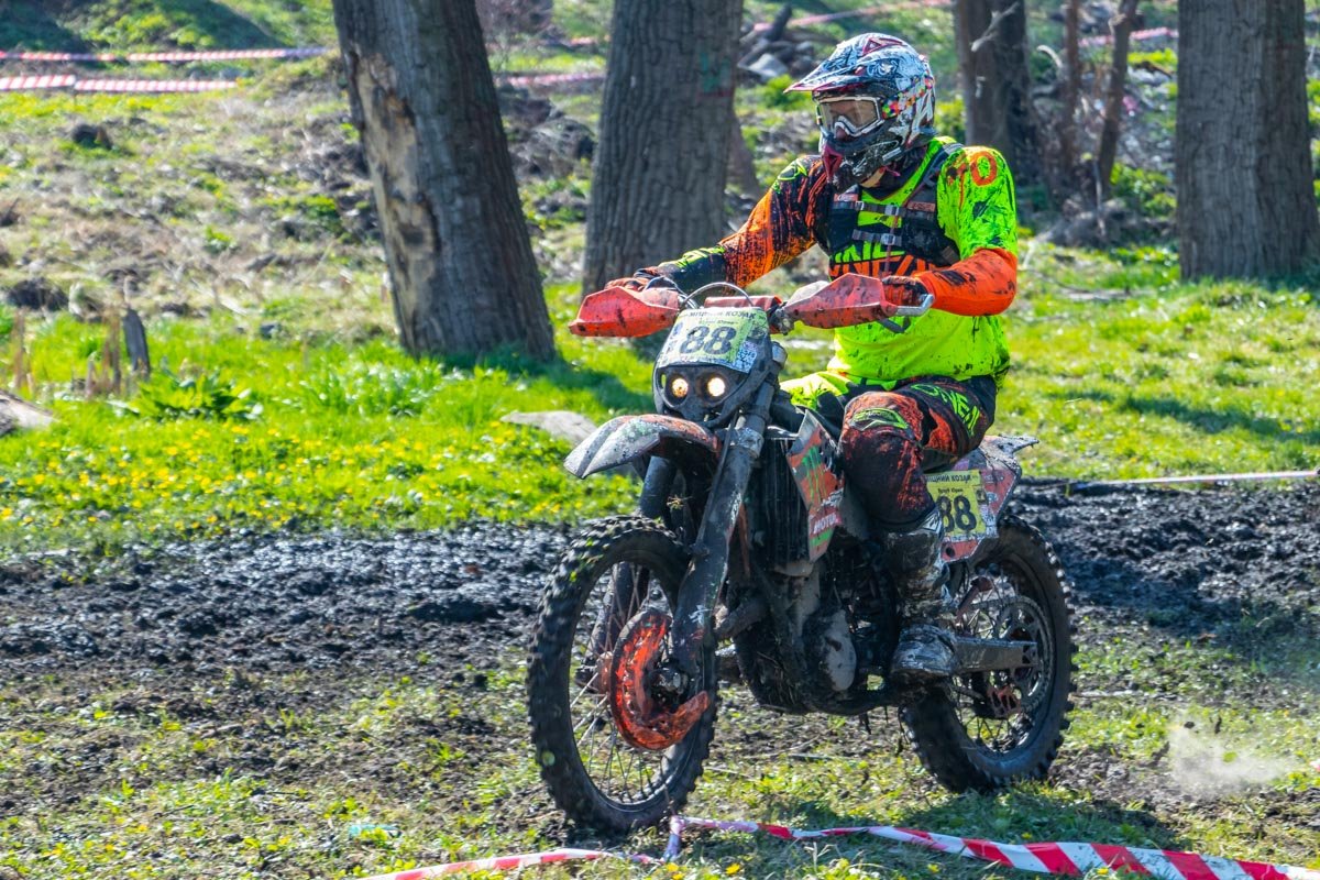 Если словишь майского жука на 130 километрах в час, твой словарный запас может увеличиться вдвое Если словишь майского жука на 130 километрах в час, твой словарный запас может увеличиться вдвое