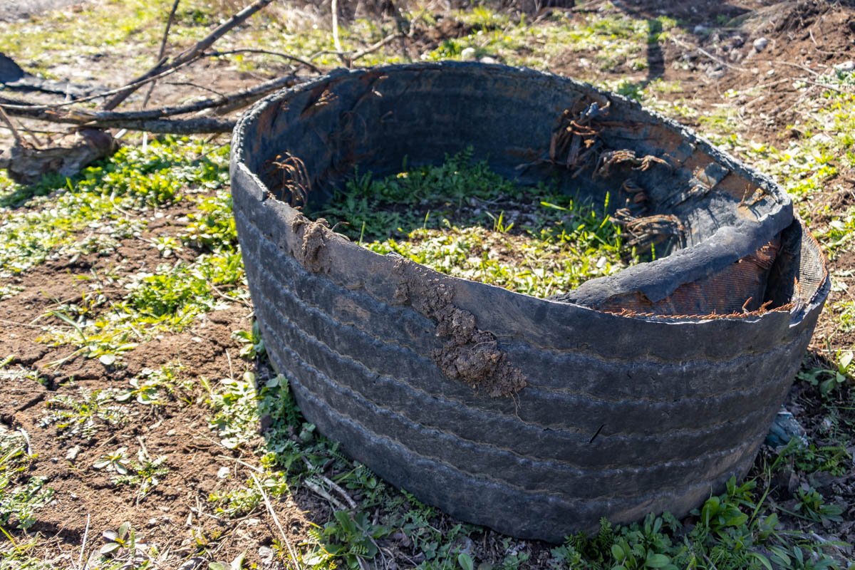 Ложку дегтя подлили сами водители Ложку дегтя подлили сами водители