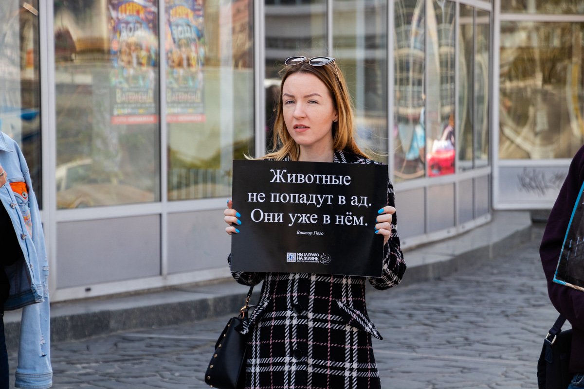 В Днепре много людей, кто солидарен с зоозащитниками