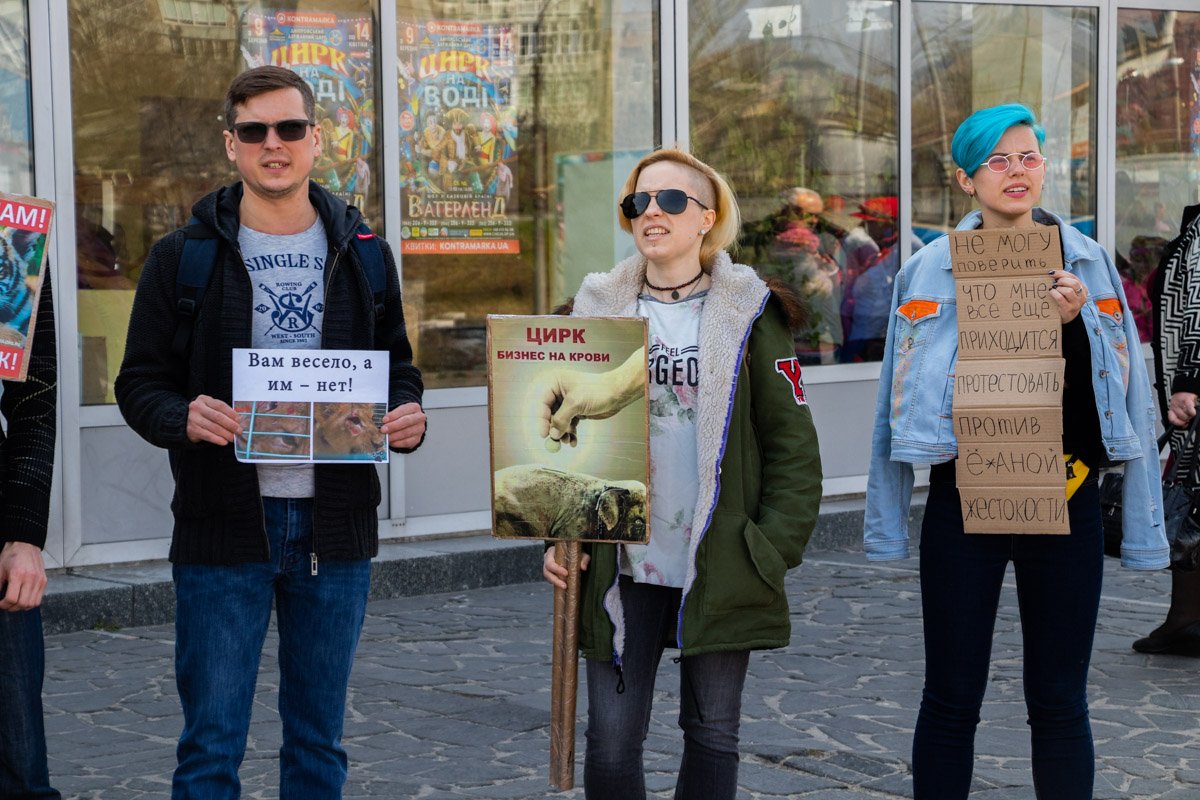 Вам весело, им - нет