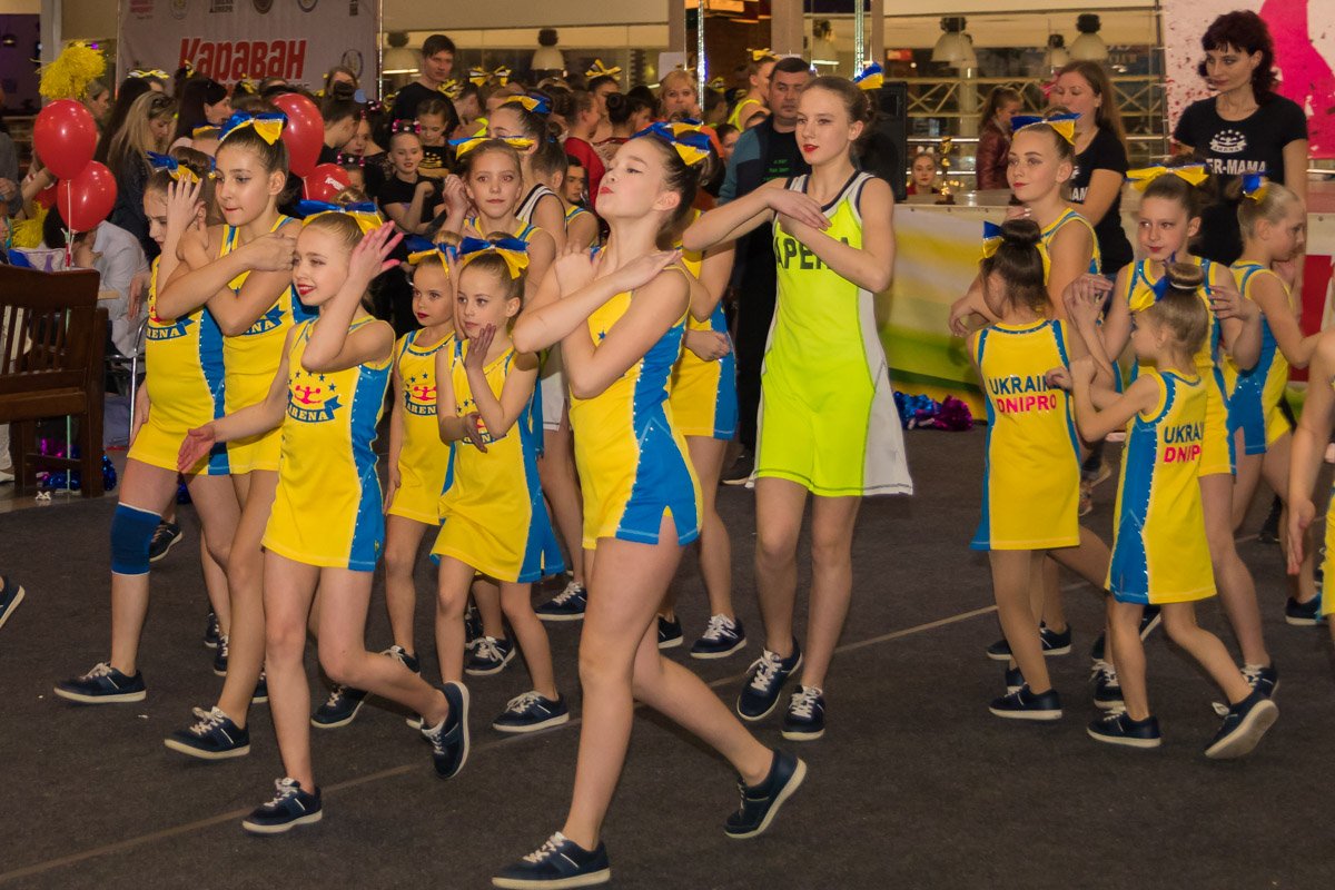 Боролись за Кубок Украины