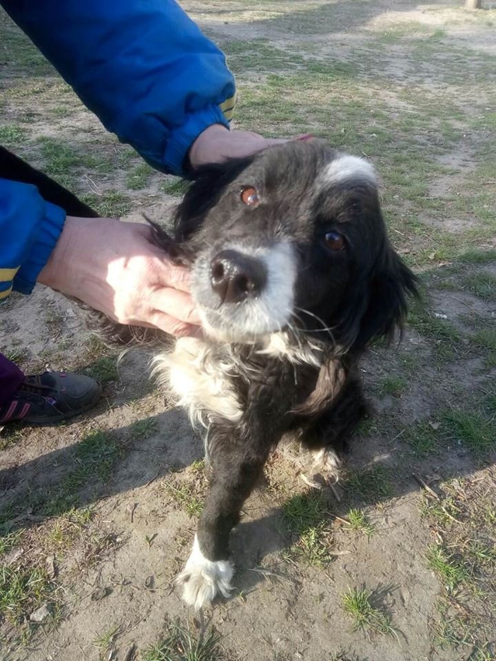 Хочу найтись Хочу найтись