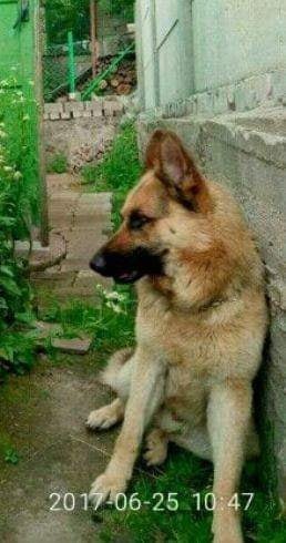 Украли и не хотят возвращать Украли и не хотят возвращать