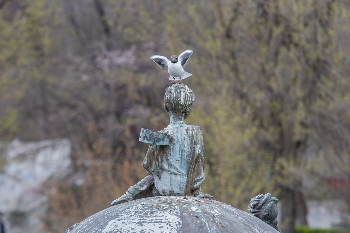 Пусть препятствием годы не служат.