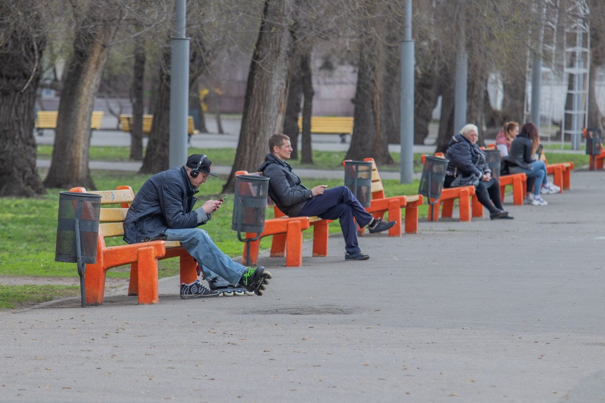 В королевстве дворовой собаки.