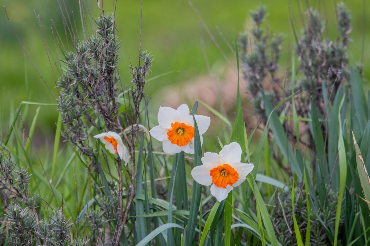 Когда все было просто, и сотни потех,
