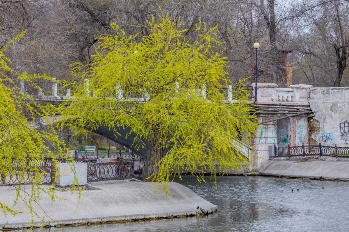 Когда друг всегда жил по соседству.