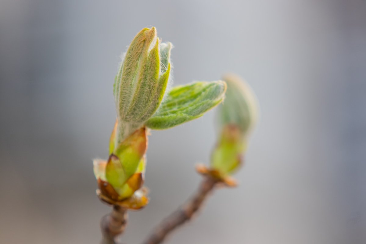 И не важно, что с вами случится.