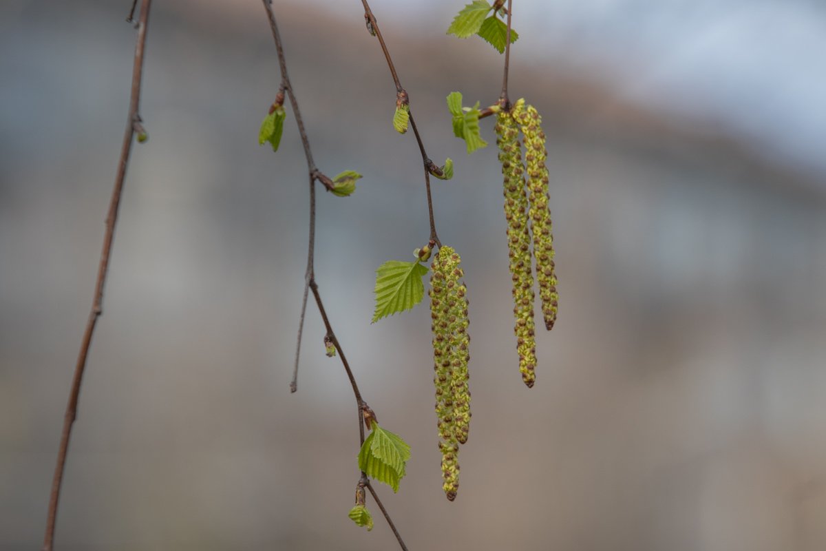 Путём нескончаемых проб и ошибок