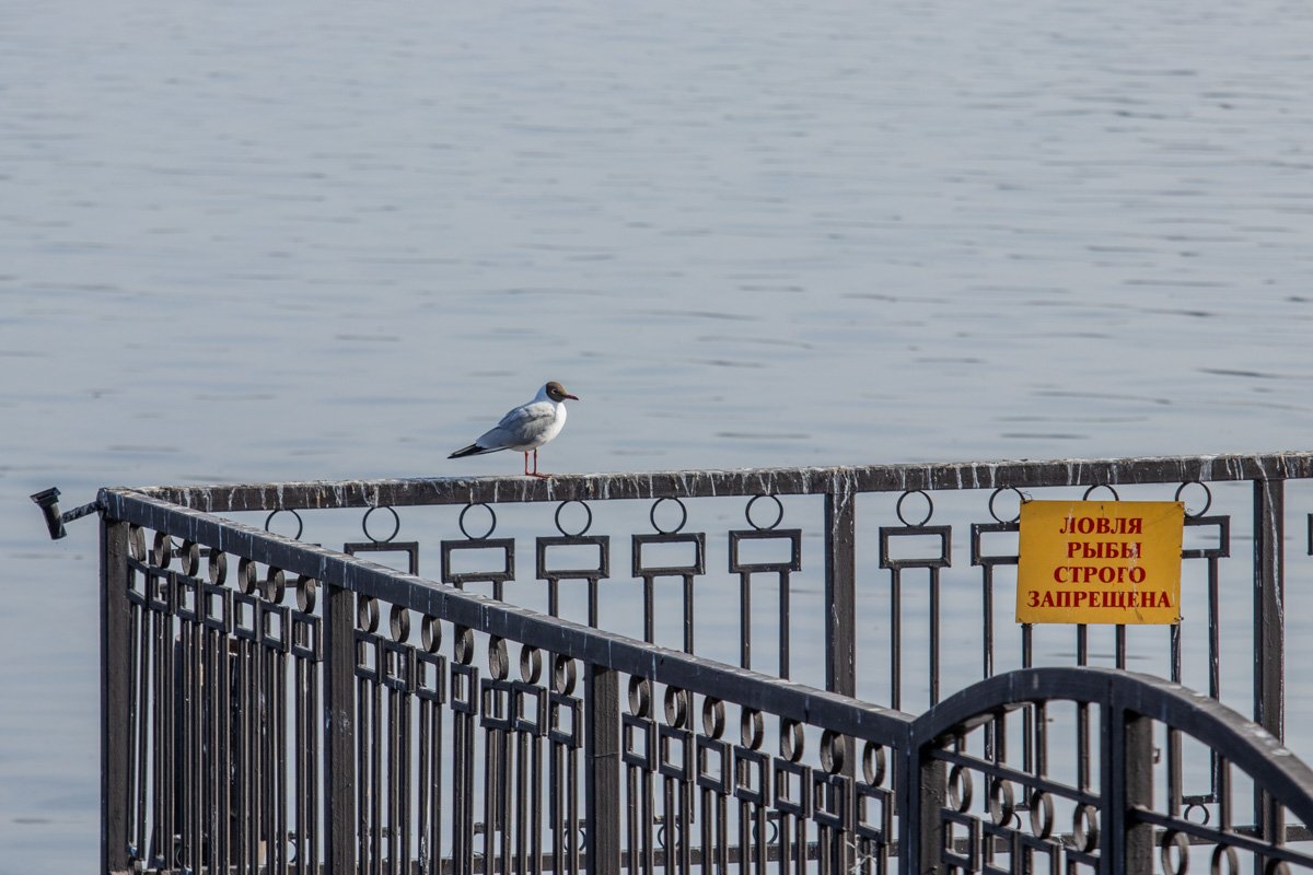 Нас к счастью приводит незримая нить.