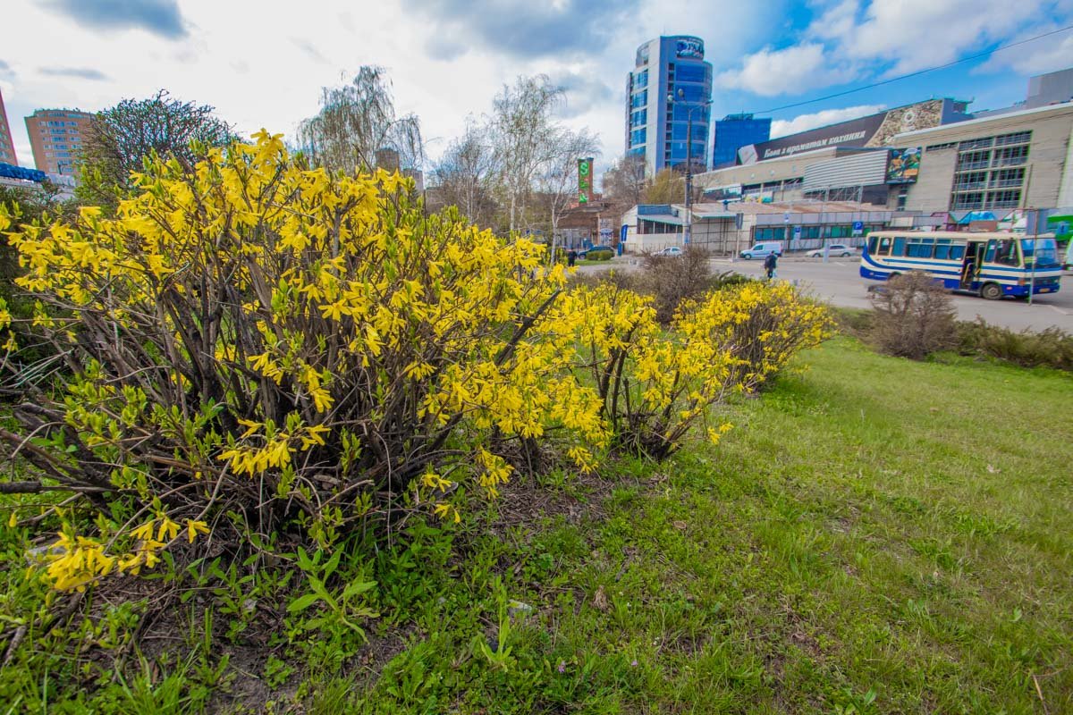 Под камень лежащий вода не течет.