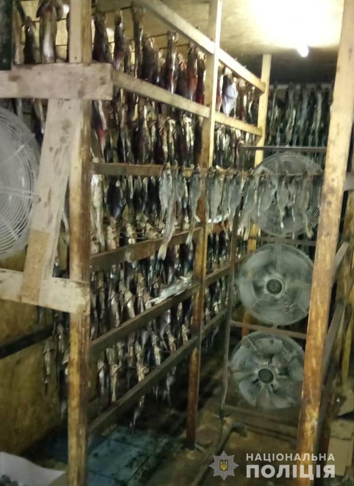 Продукцию вымачивали в химикатах Продукцию вымачивали в химикатах