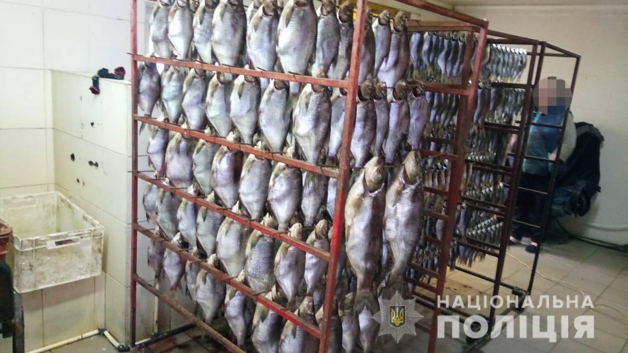 Рыбу продавали на рынках Днепра и области Рыбу продавали на рынках Днепра и области